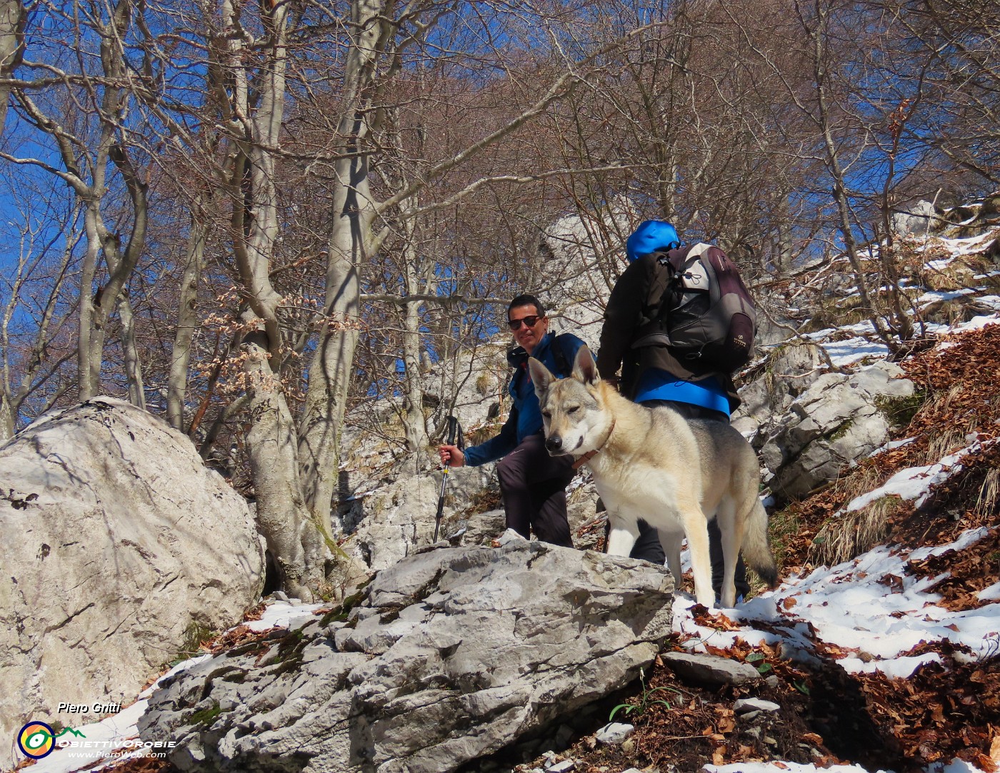 18 Laika contenta di rampare.JPG